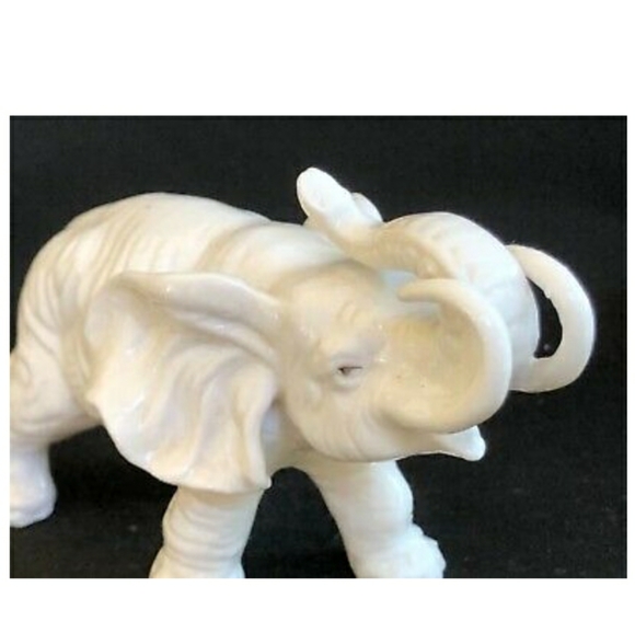 White 🐘❤❤❤🥰 - Picture 4 of 6